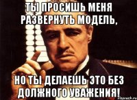 ты просишь меня развернуть модель, но ты делаешь это без должного уважения!