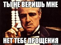 ты не веришь мне нет тебе прощения