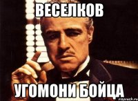 веселков угомони бойца