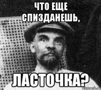 что еще спизданешь, ласточка?