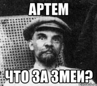 артем что за змеи?