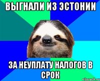 выгнали из эстонии за неуплату налогов в срок