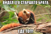 видел его старшего брата где то!!!