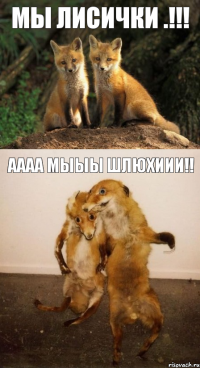 Мы лисички .!!! аааа мыыы Шлюхиии!!