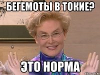 бегемоты в токие? это норма