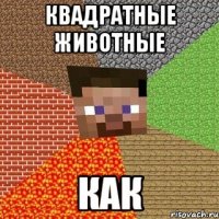 квадратные животные как