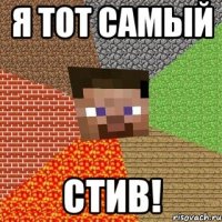 я тот самый стив!