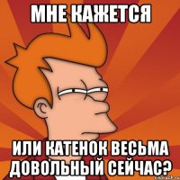 мне кажется или катенок весьма довольный сейчас?