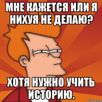 мне кажется или я нихуя не делаю? хотя нужно учить историю.