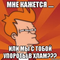 мне кажется .... или мы с тобой упороты в хлам???