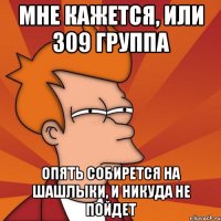 мне кажется, или 309 группа опять собирется на шашлыки, и никуда не пойдет