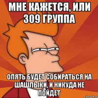 мне кажется, или 309 группа опять будет собираться на шашлыки, и никуда не пойдет