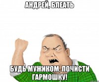 андрей, блеать будь мужиком, почисти гармошку!