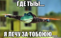 где тыы.... я лечу за тобоюю.....