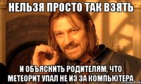 нельзя просто так взять и объяснить родителям, что метеорит упал не из за компьютера