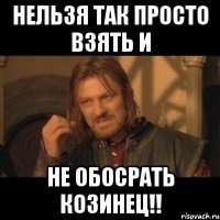 нельзя так просто взять и не обосрать козинец!!