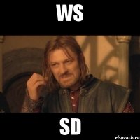 ws sd