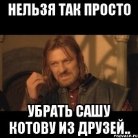 нельзя так просто убрать сашу котову из друзей..