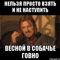 нельзя просто взять и не наступить весной в собачье говно