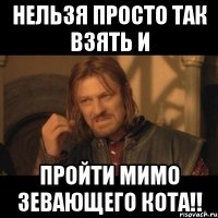 нельзя просто так взять и пройти мимо зевающего кота!!