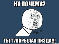 ну почему? ты тупорылая пизда!!!