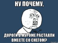 ну почему, дороги в муроме растаяли вместе со снегом?