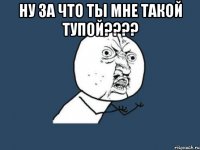 ну за что ты мне такой тупой??? 