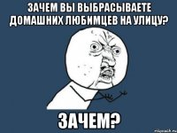 зачем вы выбрасываете домашних любимцев на улицу? зачем?