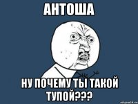 антоша ну почему ты такой тупой???