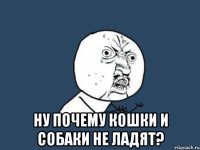  ну почему кошки и собаки не ладят?