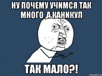 ну почему учимся так много ,а каникул так мало?!