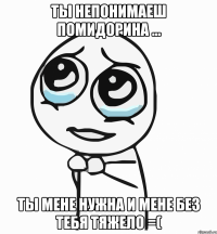 ты непонимаеш помидорина ... ты мене нужна и мене без тебя тяжело =(