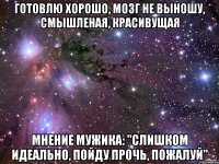 готовлю хорошо, мозг не выношу, смышленая, красивущая мнение мужика: "слишком идеально, пойду прочь, пожалуй"