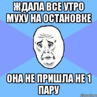 ждала все утро муху на остановке она не пришла не 1 пару