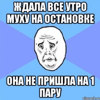 ждала все утро муху на остановке она не пришла на 1 пару