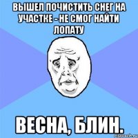 вышел почистить снег на участке - не смог найти лопату весна, блин.