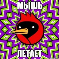 мышь летает