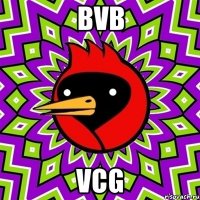 bvb vcg