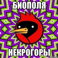 биополя некрогоры