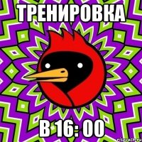 тренировка в 16: 00