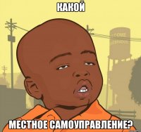 какой местное самоуправление?