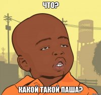 что? какой такой паша?