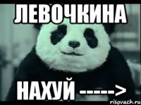 левочкина нахуй ----->