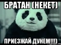 братан (некет) приезжай дунем!!!)