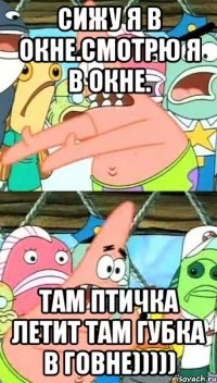 сижу я в окне.смотрю я в окне. там птичка летит там губка в говне)))))