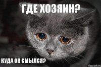 КУДА ОН СМЫЛСЯ? ГДЕ ХОЗЯИН?