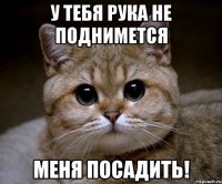 у тебя рука не поднимется меня посадить!