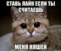 ставь лайк если ты считаешь меня няшей