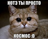 котэ ты просто космос :d