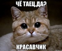 чё таец,да? красавчик